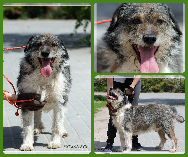 BeFunky-collage (27)