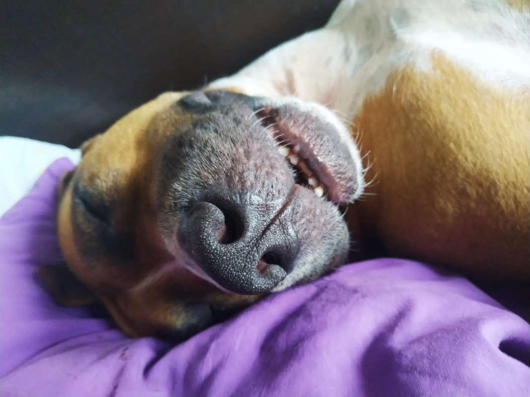 6DBCC689-DAD5-472A-B8D3-BCDEB05B33CA