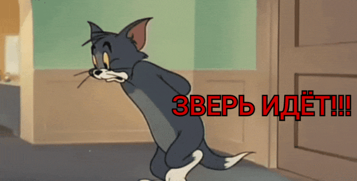 GIF-20251029-075033-322.gif