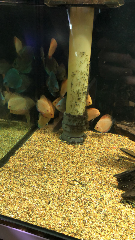 2AEF912A-A7EF-4B77-9EF3-DE2453F53C25