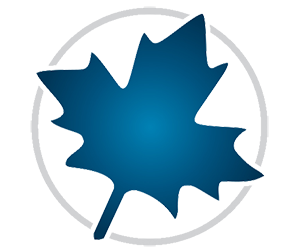 Maplesoft Maple 2021.2 64 Bit - Eng