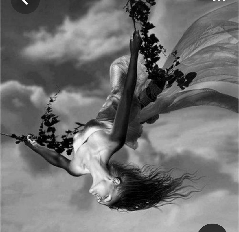 Screenshot_20230921_203002_Pinterest