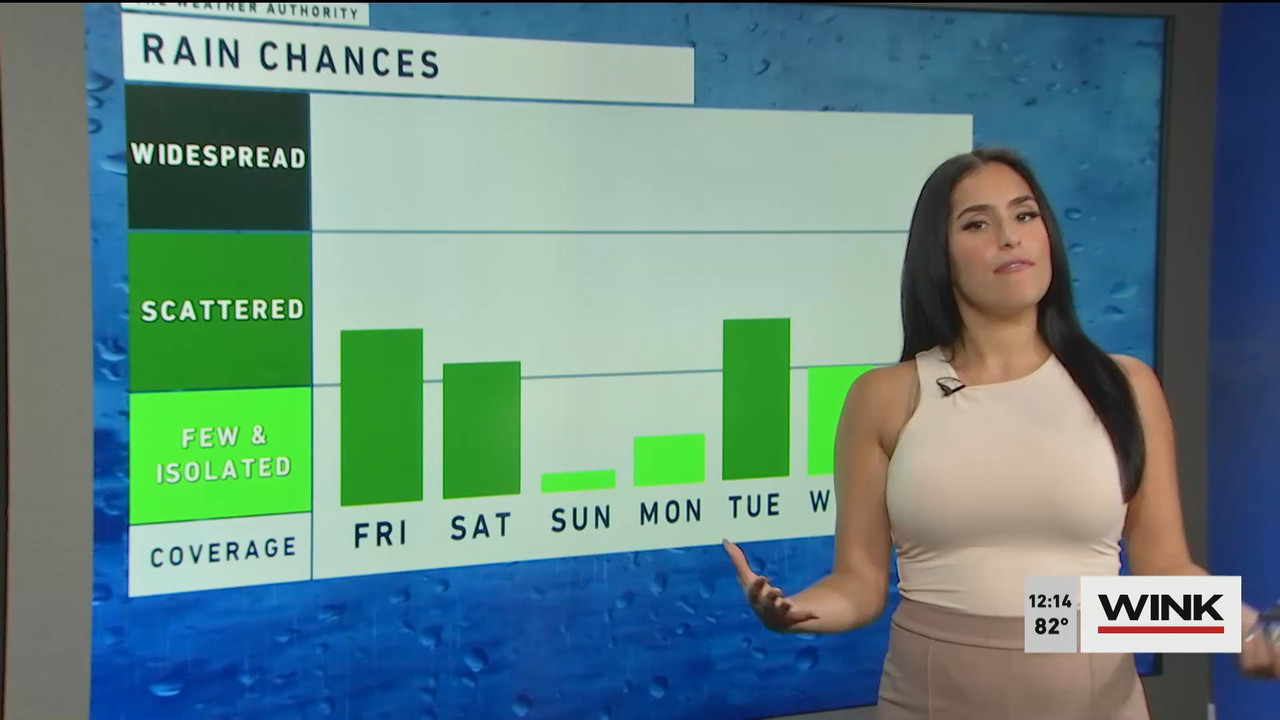 10.14 - 17.00.00 - The WINK Noon News  ᴺᵉʷ. Midday news update..ts_snapshot_20.42.608
