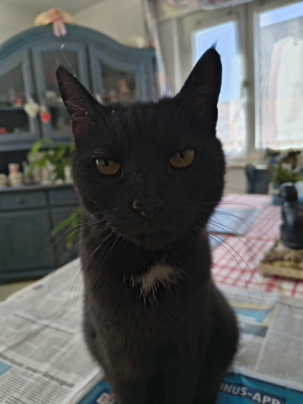 IMG 20260923 122557508 HDR