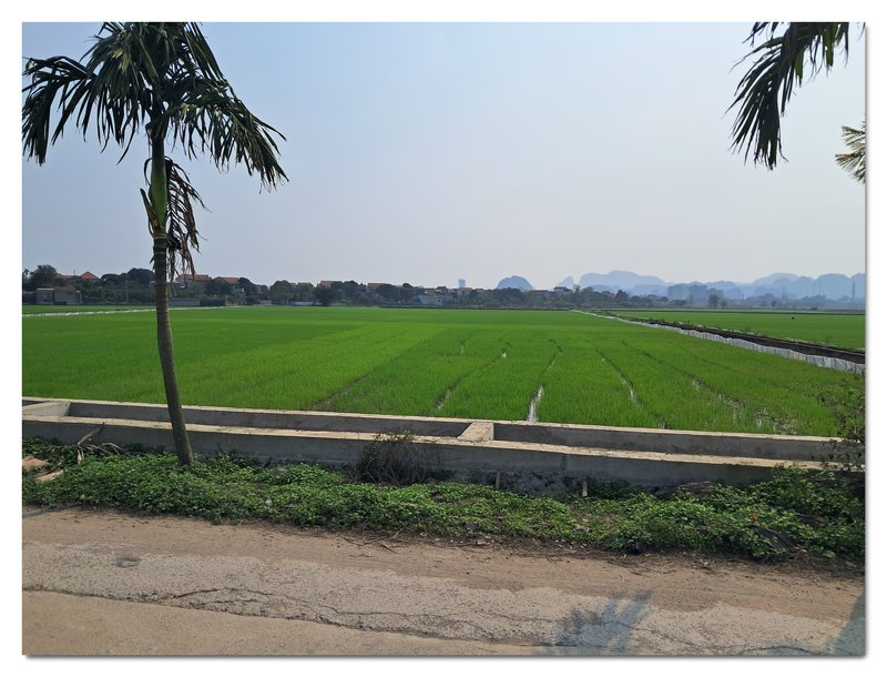 Tam Coc, rios, montañas y campos de arroz. - De la bahía de Halong a los templos de Angkor (14)
