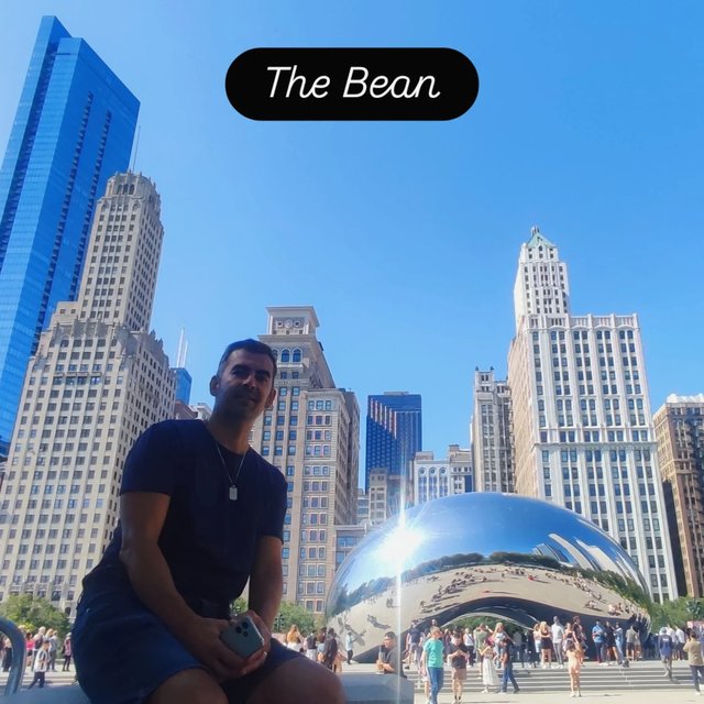 Caminando por Chicago: Esculturas, the Bean, lugares de películas y Torre Willis - Boston y Chicago (25)