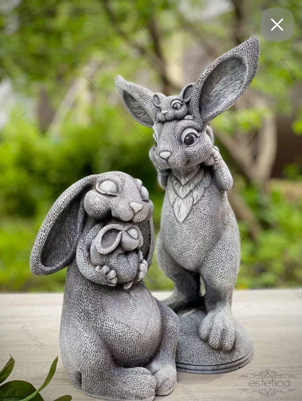 photo_2024-09-06_19-48-13