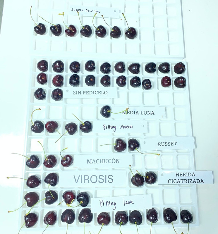 Whats App Image 2026 01 09 at 3 29 06 PM