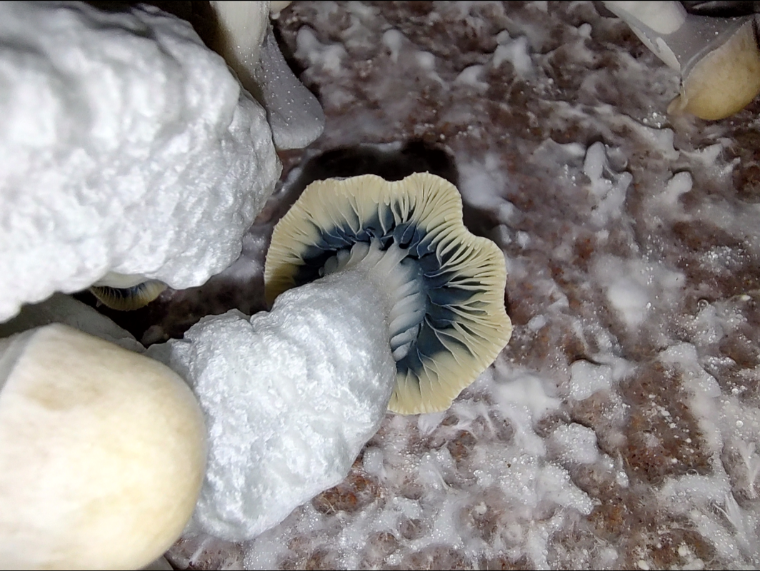 Screenshot_20240222-090152-446