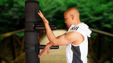 Wing Chun 116 Dummy Training Wing Chun 116 Dummy Training
