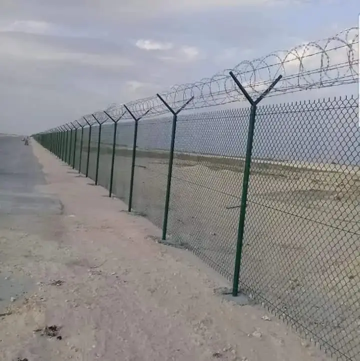 شبوك فلل في الاحساء
