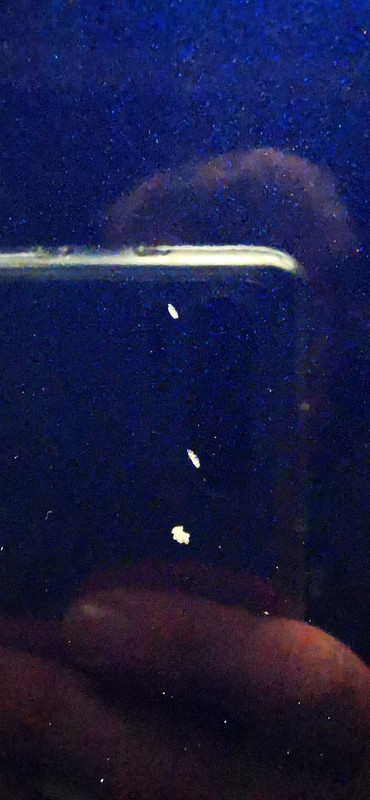 IMG_20230401_171440_resized_20230404_101745813