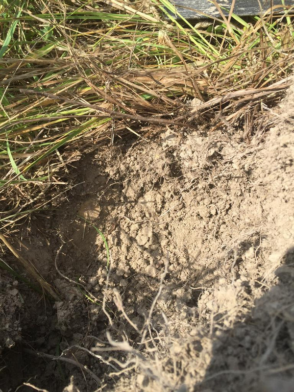 9FDFD3D6-8793-4CB3-B9F3-7A6F4A0495FA