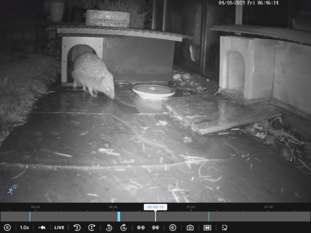 C3A9B883-3F18-4238-9B3F-779B5F54EB33