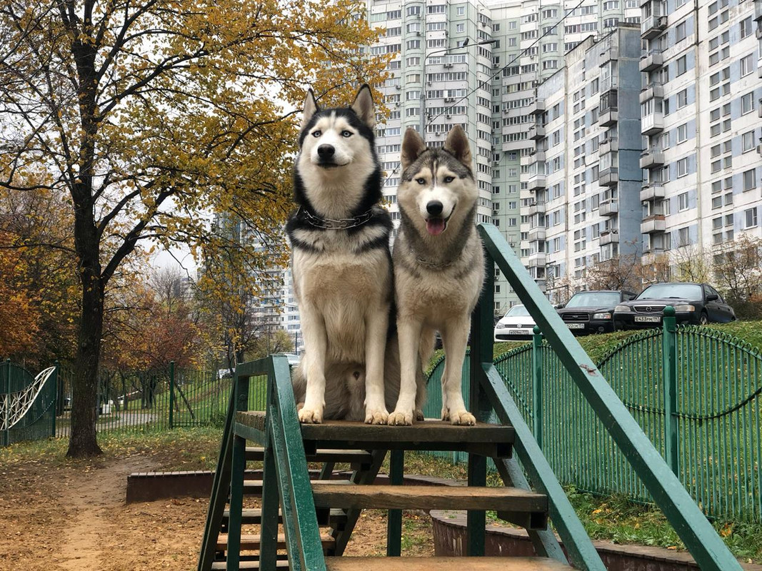 WhatsApp Image 2019-10-10 at 16.25.07(1)