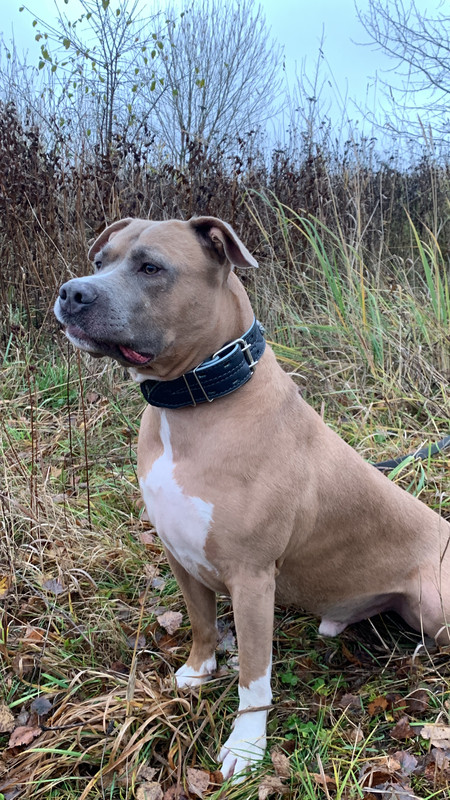 1C9D7998-D305-45F7-9BF7-D5E64704DE3B