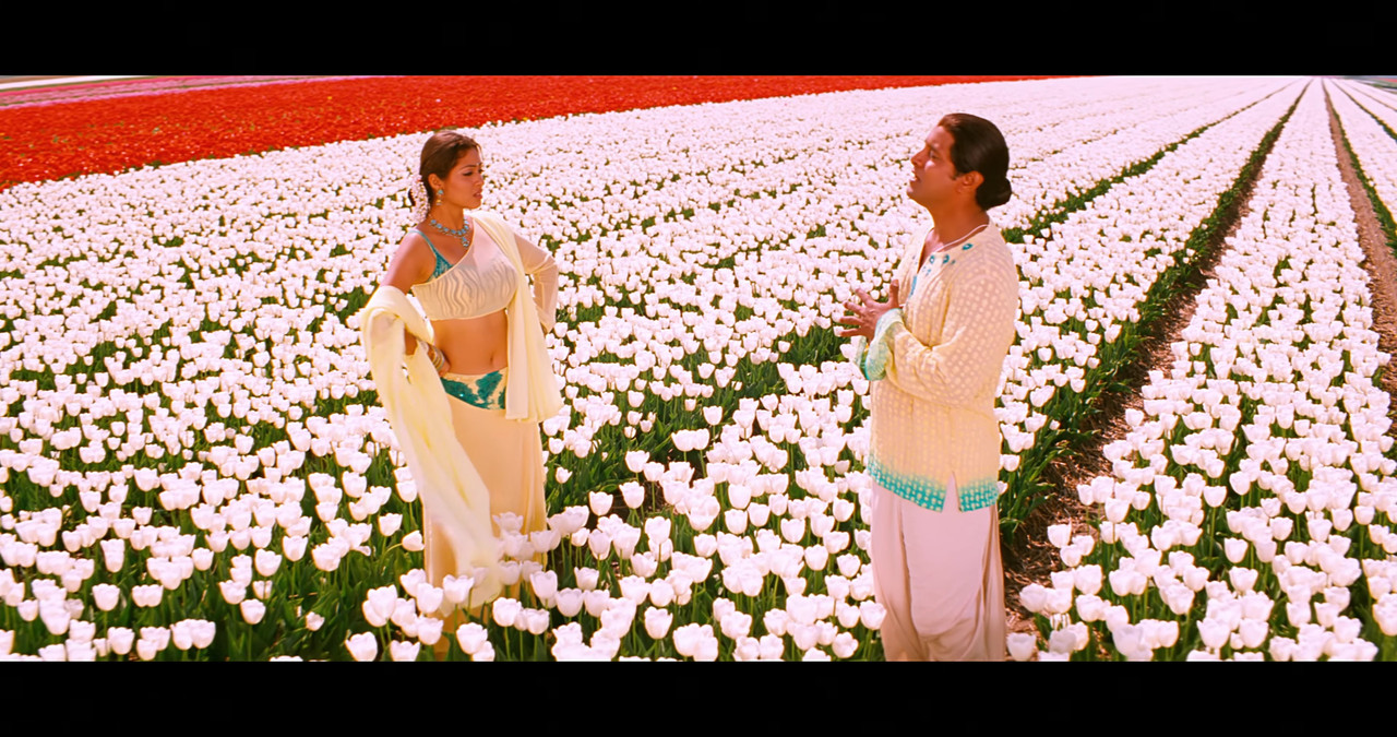 VideoCapture_20241122-195641