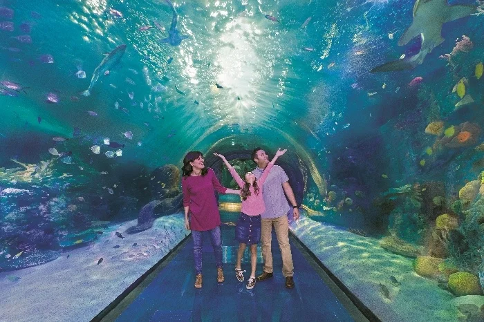 Aquarium At The Boardwalk
