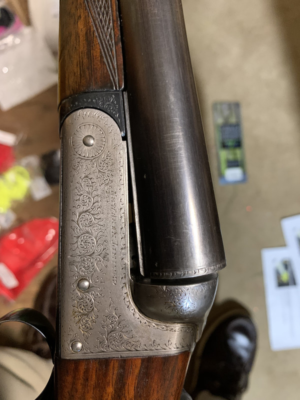 [Linked Image from i.postimg.cc]