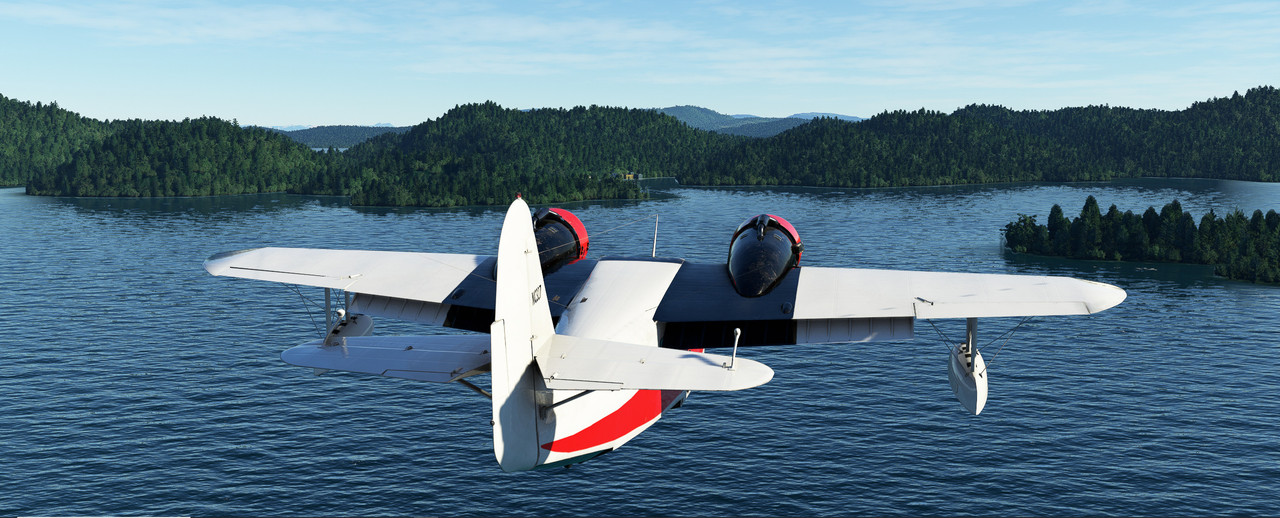 Goose-9.jpg