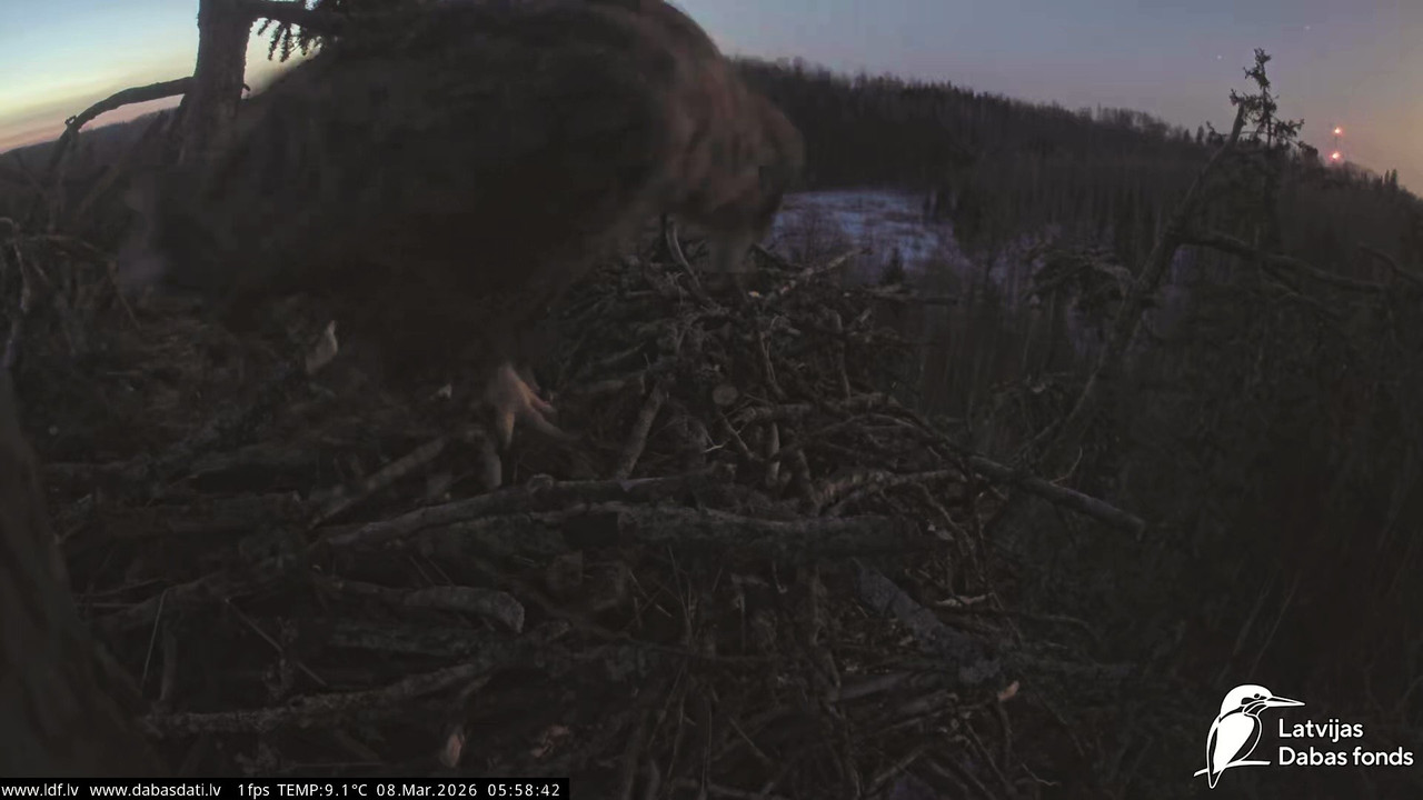 vlcsnap 2026 03 08 05h04m28s850