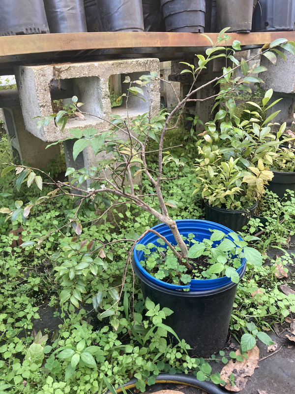 6F8248D6-518F-4813-A5B6-434F1C3686F7