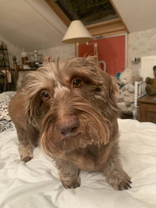 [Image: B84-FE792-2-C6-D-4-CD1-949-F-46410-BFFFD06.jpg]