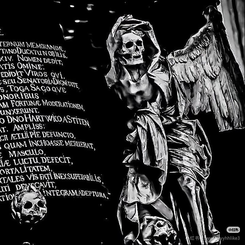 Camera_1040g3k831ll1t4gflmd05pn82rk7efv9ajb82no