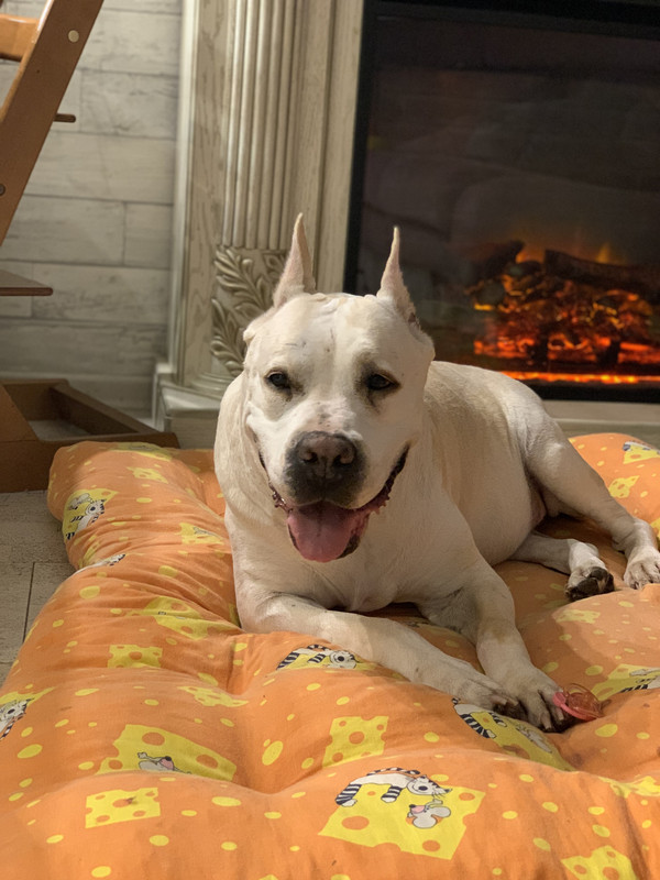 BD6341E2-CC2A-4C10-9E0C-DB8BF096921A