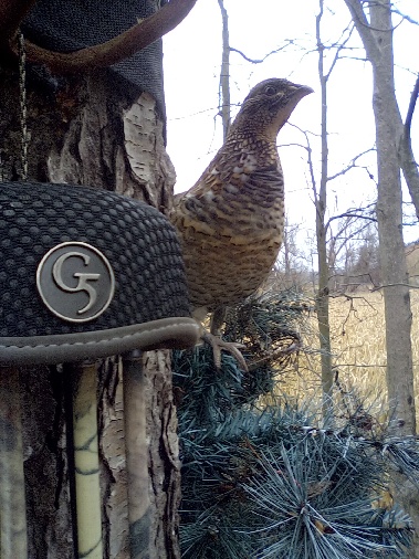 1762356607738 IMG 20251105 074052ernie nov 25