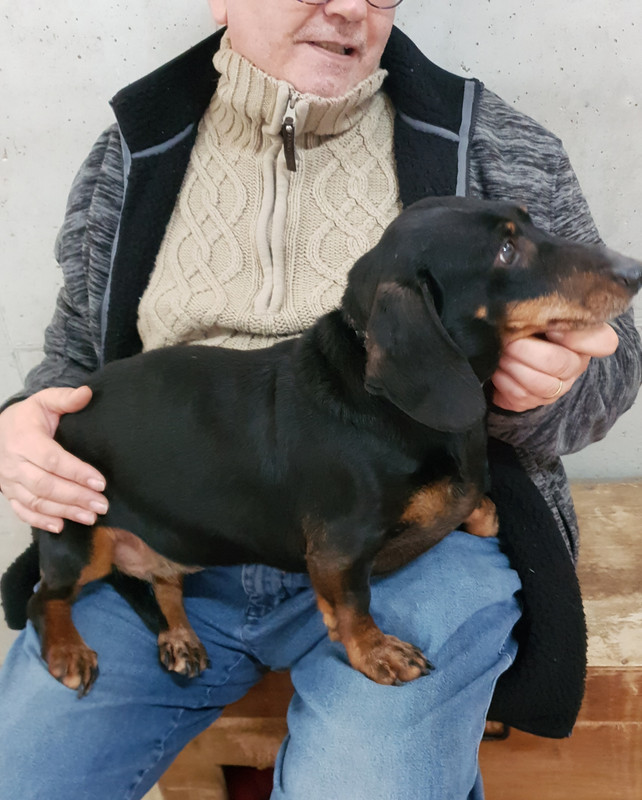 [Image: 20210411-213733.jpg]