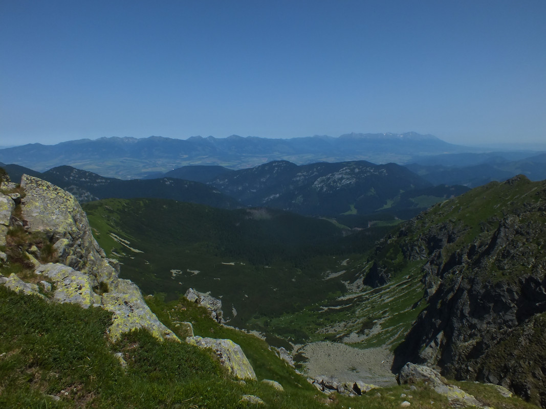 2019_0630DUMBIER0089