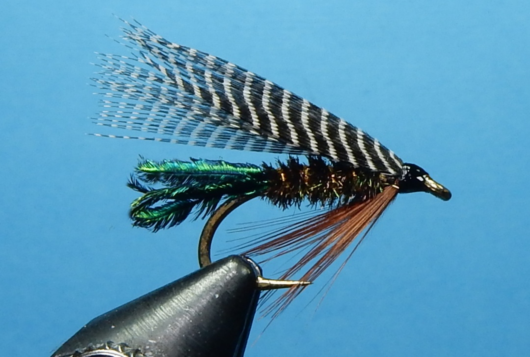 Sally_1080.jpg