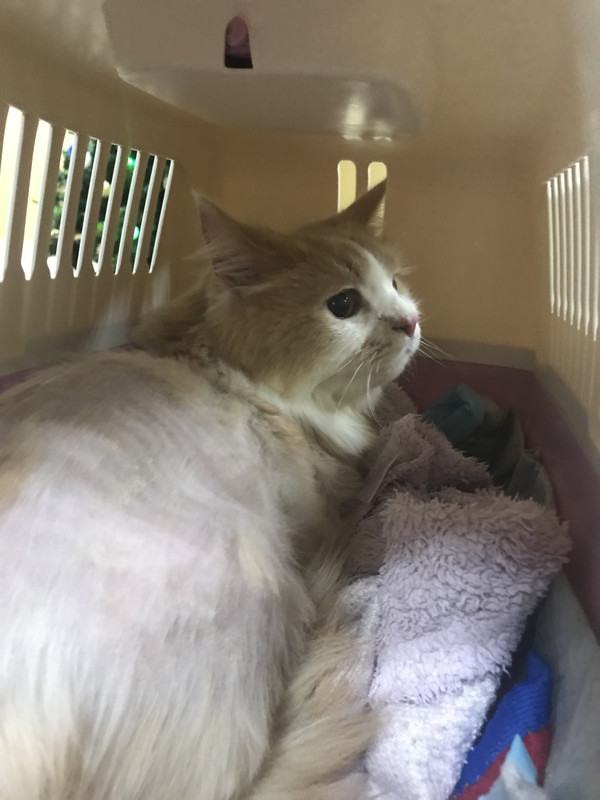 B9DC99C8-C43A-47F7-AA70-EF8B2C936345