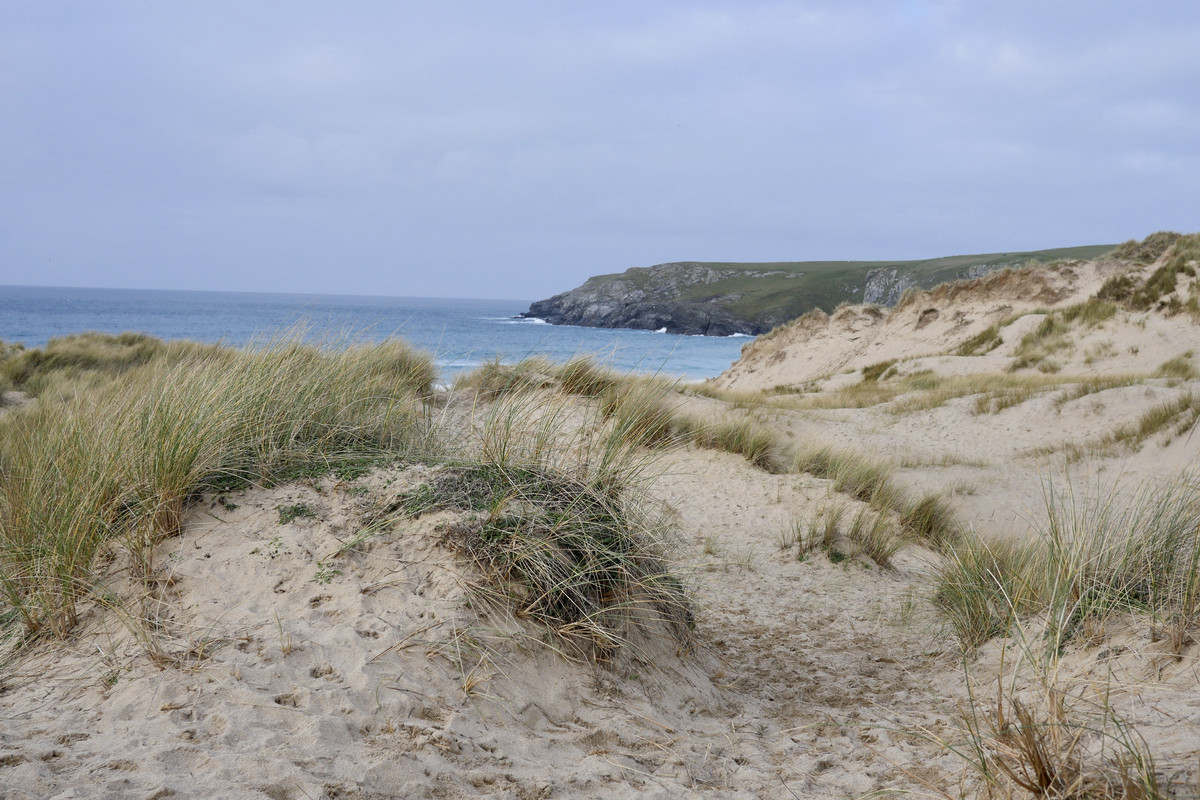 B7EE0691-AE4D-4E75-BA64-1D5A51FD0593