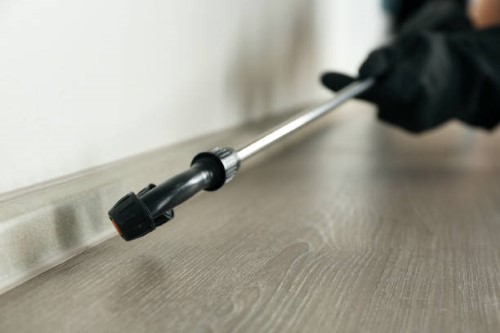 intervention anti nuisible Paris