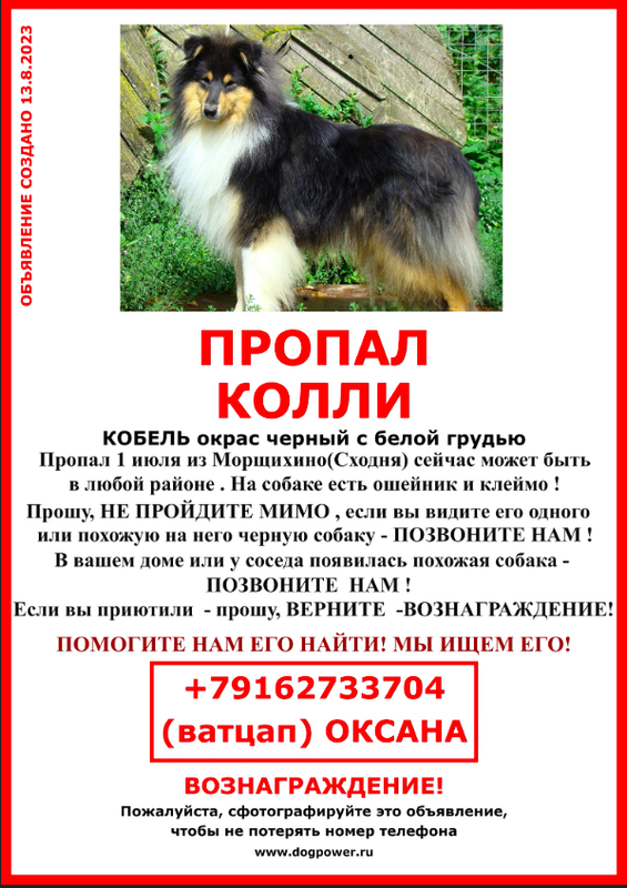 Снимок экрана от 2023-08-25 08-51-42