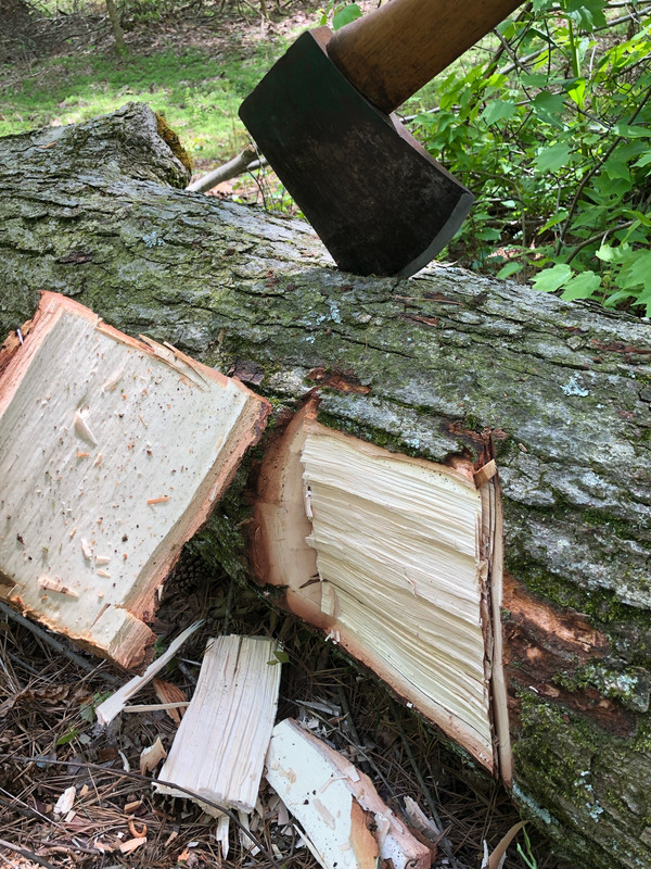 8A5F3798-1CBE-4E3D-988A-A371BD49508D