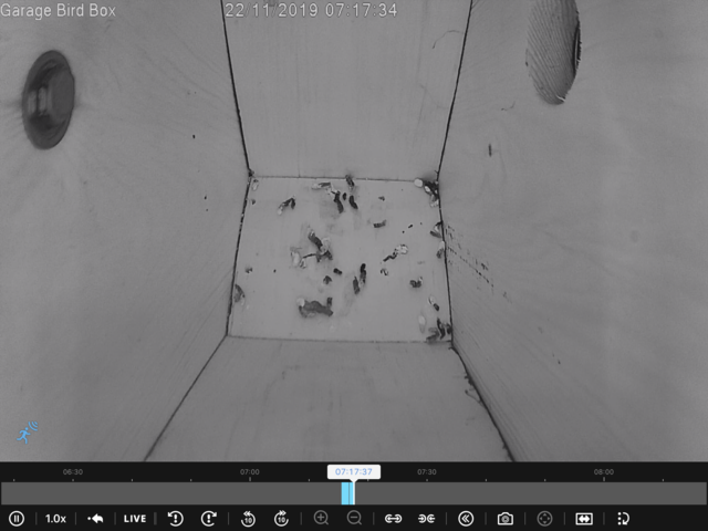 1411DA03-F255-4B24-8034-ACD4AC915396