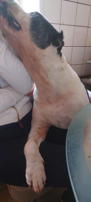 9F4B2740-FBF5-4BB6-928B-06FC3FC31F7A