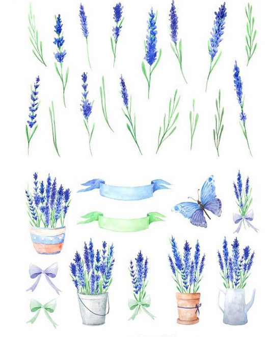 Skillshare - Watercolor Blue Lavender Flowers