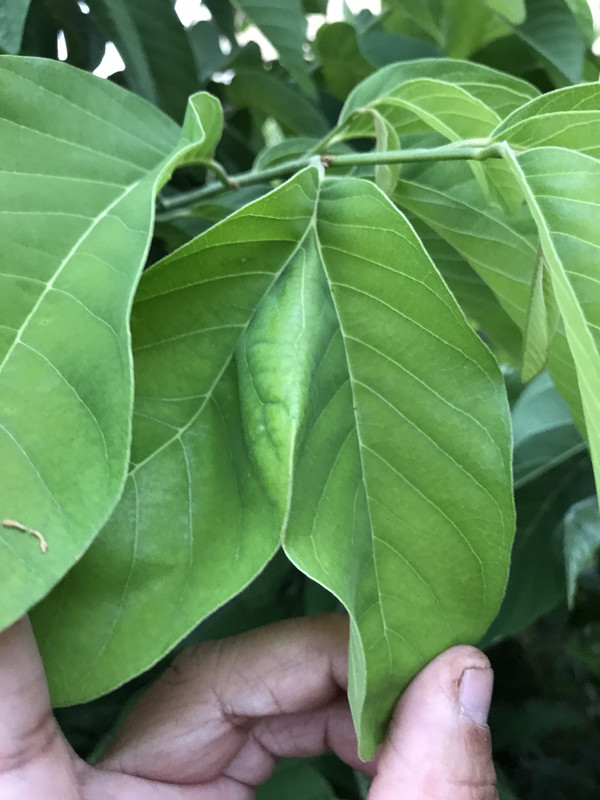 BF144890-891E-41A4-8327-F6BBC37331C5