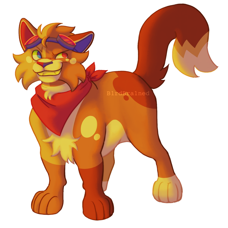 49964606_lOtfH01NXabWq2j