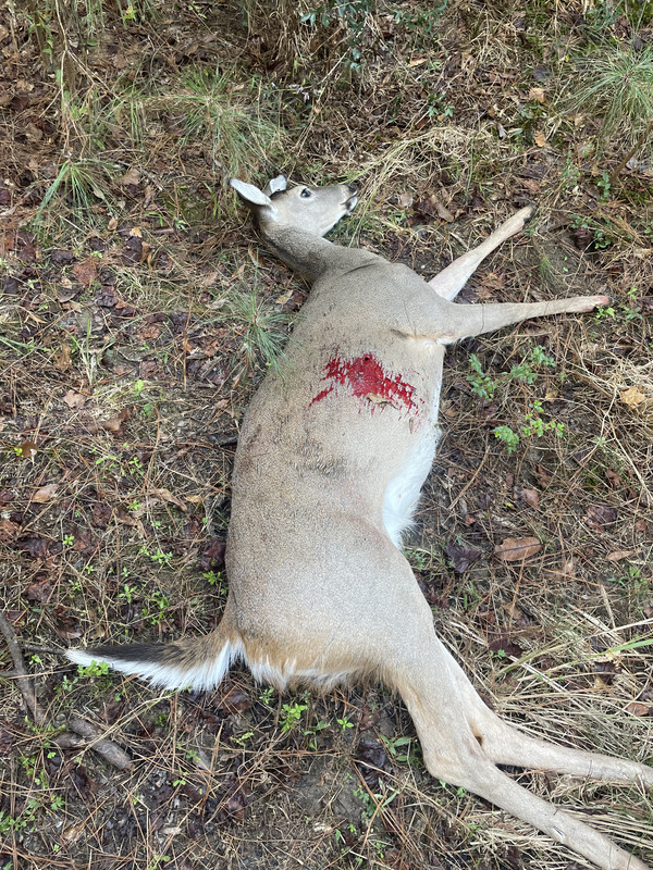 99908C0E-DD8C-4117-B5A9-71E95C973203