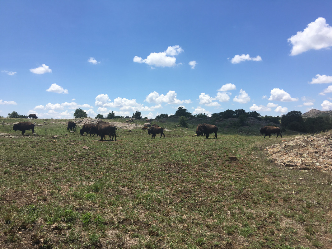 0BD8C01C-F6CE-4162-BF5E-57AA315A76D4