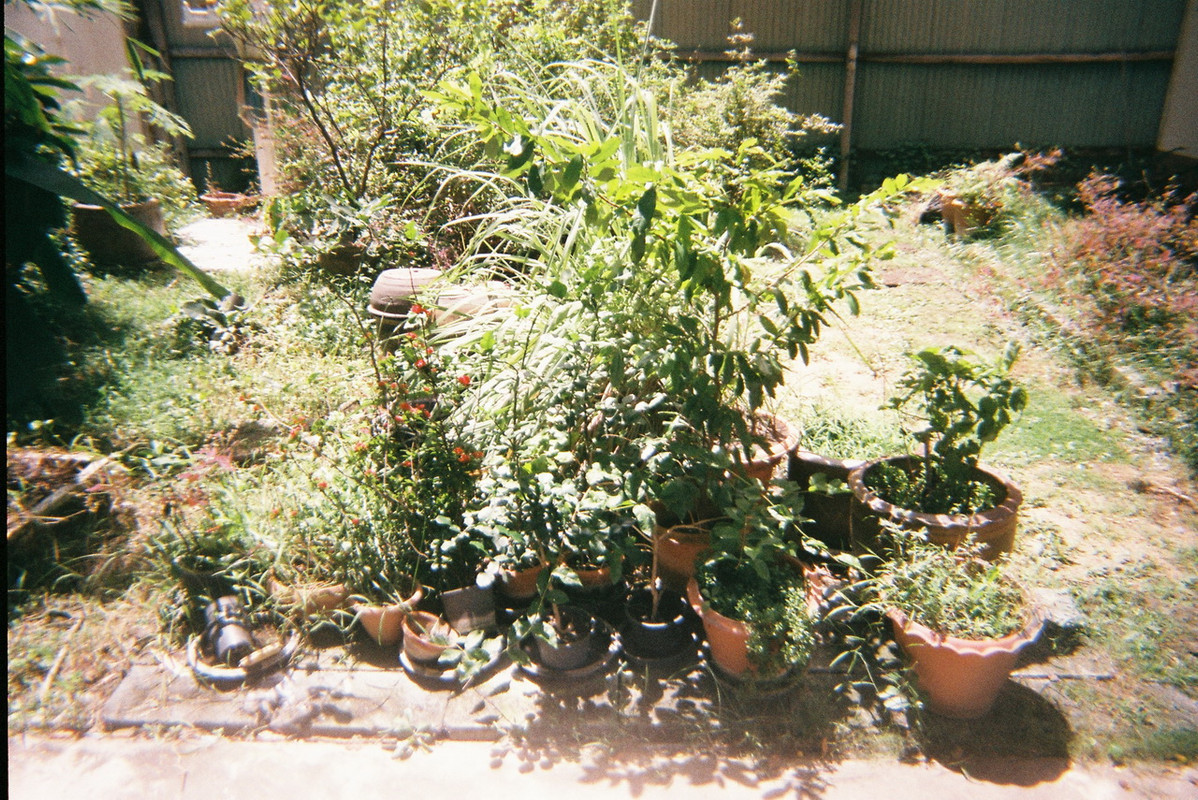 Fuji-04-resize
