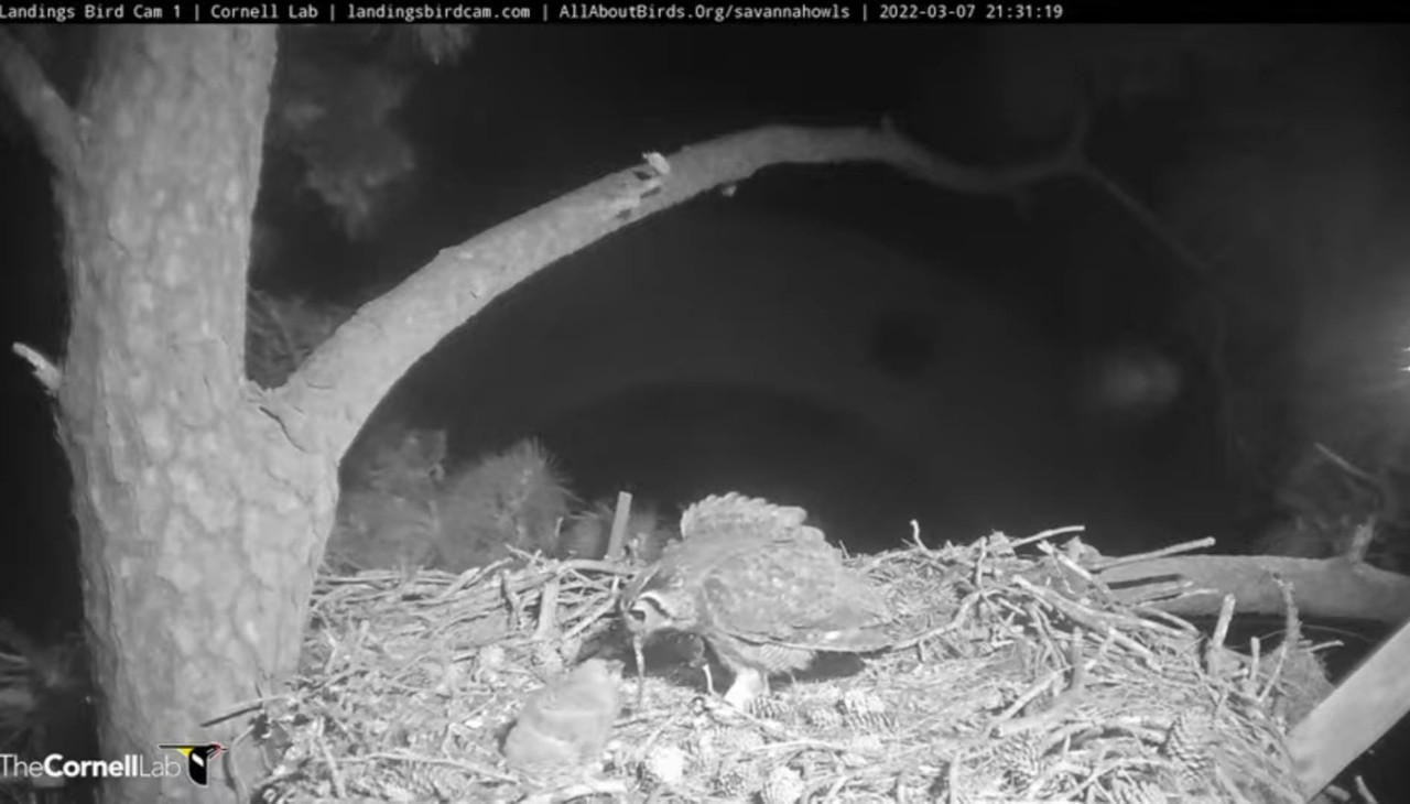 WhatsApp Image 2022-03-08 at 10.28.55 PM (2)