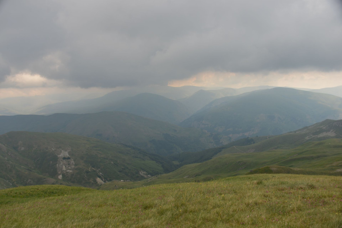 DSC-9498.jpg
