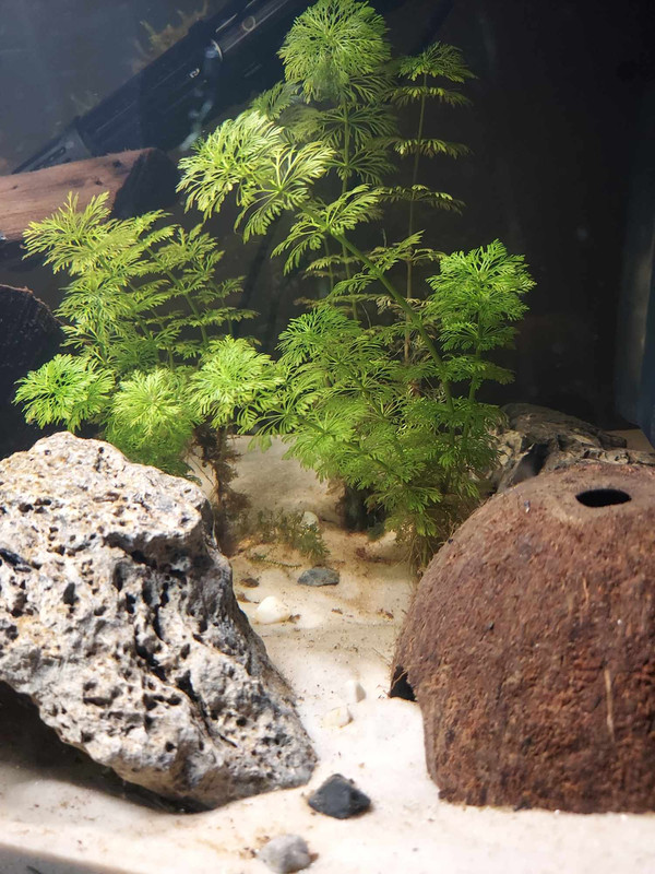 420039723_933123175002912_4405276404172171785_n