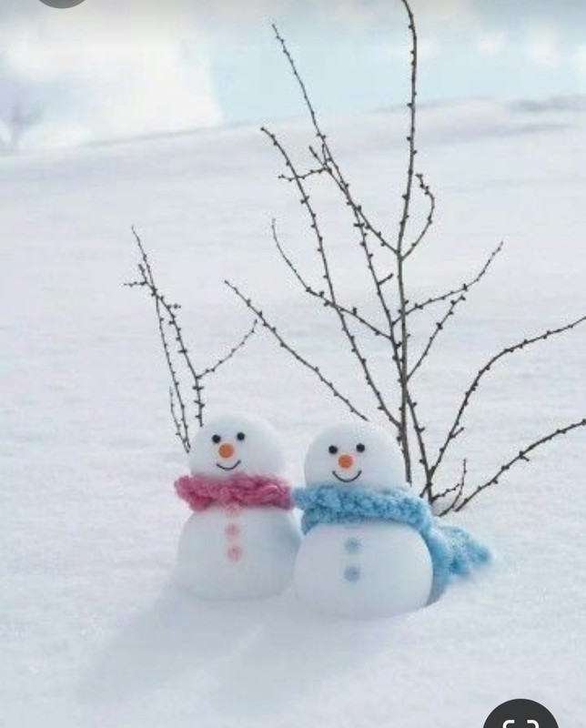 Screenshot_20231006_215419_Pinterest